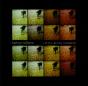 Little Black Numbers - CD - Preview