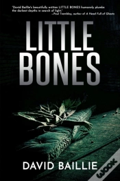Capa do artigo Little Bones