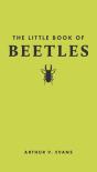 Little Book Of Beetles - Preview