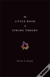 Little Book Of String Theory