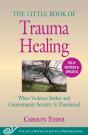 Little Book Of Trauma Healing: Revised & Updated - Preview