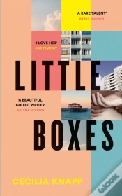 Capa do artigo Little Boxes