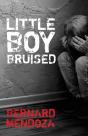 Little Boy Bruised - Preview