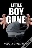 Little Boy Gone
