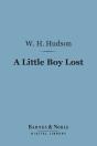 Little Boy Lost (Barnes & Noble Digital Library) - Preview