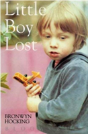 Little Boy Lost - Preview