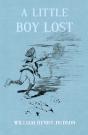 Little Boy Lost - Preview