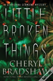 Little Broken Things