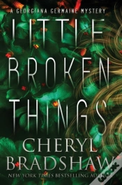Capa do artigo Little Broken Things