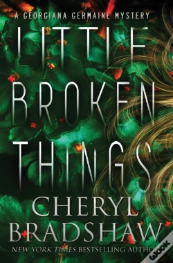 Capa do artigo Little Broken Things