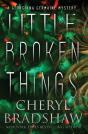 Little Broken Things - Preview