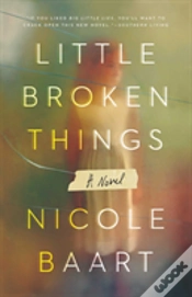 Capa do artigo Little Broken Things