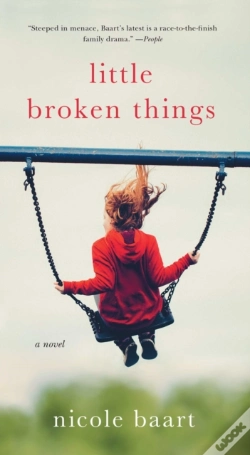 Capa do artigo Little Broken Things
