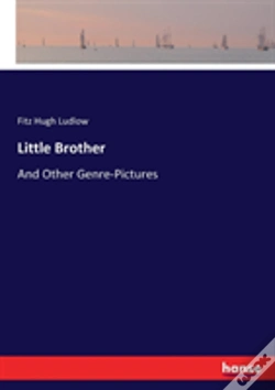 Capa do artigo Little Brother