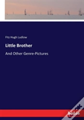 Capa do artigo Little Brother