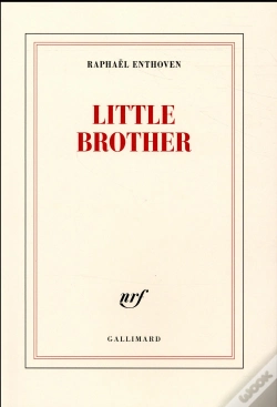 Capa do artigo Little Brother