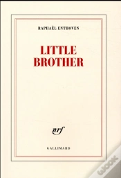 Capa do artigo Little Brother
