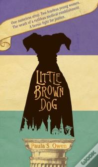 Little Brown Dog