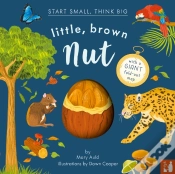 Capa do artigo Little, Brown Nut