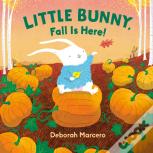 Little Bunny, Fall Is Here!