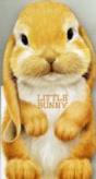 Little Bunny - Preview