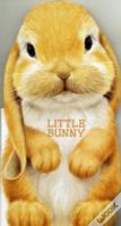 Little Bunny