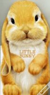 Capa do artigo Little Bunny