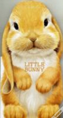 Capa do artigo Little Bunny