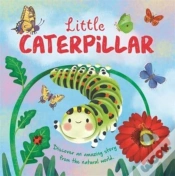 Capa do artigo Little Caterpillar