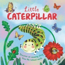 Capa do artigo Little Caterpillar
