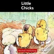 Little Chicks