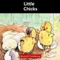 Little Chicks - Preview