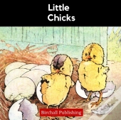 Little Chicks