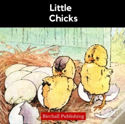 Capa do artigo Little Chicks