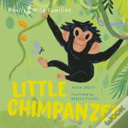 Little Chimpanzee