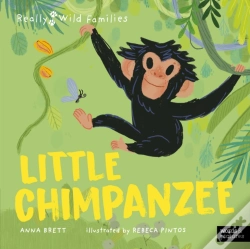 Capa do artigo Little Chimpanzee