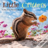 Little Critters, A No Text Picture Book
