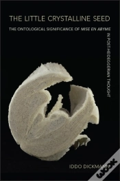 Capa do artigo Little Crystalline Seed