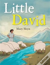 Capa do artigo Little David