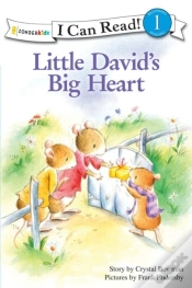 Capa do artigo Little David