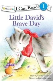 Capa do artigo Little David