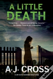 Capa do artigo Little Death