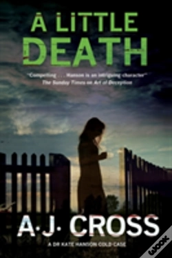 Capa do artigo Little Death