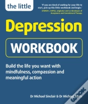 Capa do artigo Little Depression Workbook