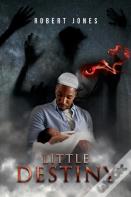 Little Destiny