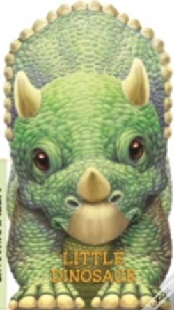 Capa do artigo Little Dinosaur