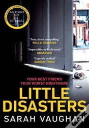 Capa do artigo Little Disasters