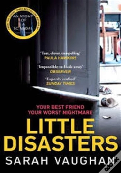 Capa do artigo Little Disasters