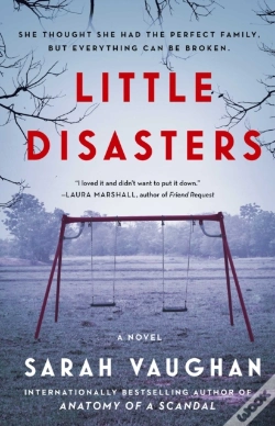Capa do artigo Little Disasters