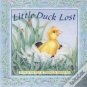 Little Duck Lost